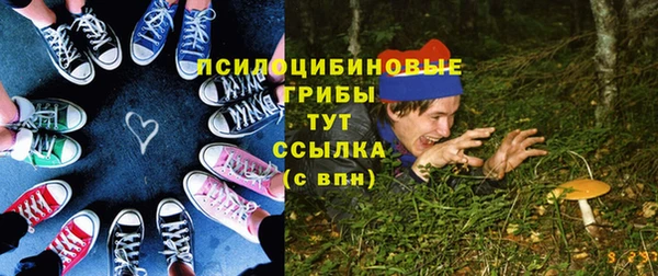 PSILOCYBIN Аркадак