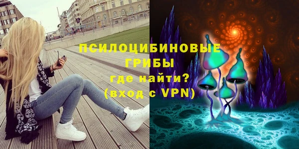 PSILOCYBIN Аркадак