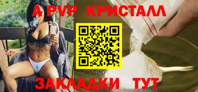 амф Гусев