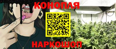 амф Гусев