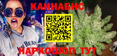 амф Гусев