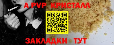 амф Гусев