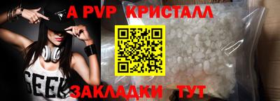 амф Гусев